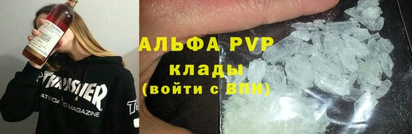 PSILOCYBIN Кулебаки