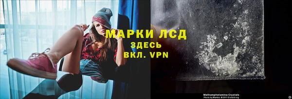PSILOCYBIN Кулебаки