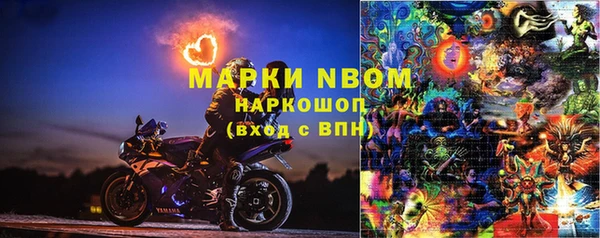 PSILOCYBIN Кулебаки