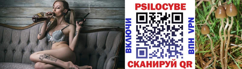 Псилоцибиновые грибы Psilocybine cubensis  Чудово 